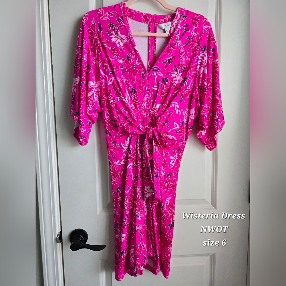 Lilly Pulitzer Wisteria Dress